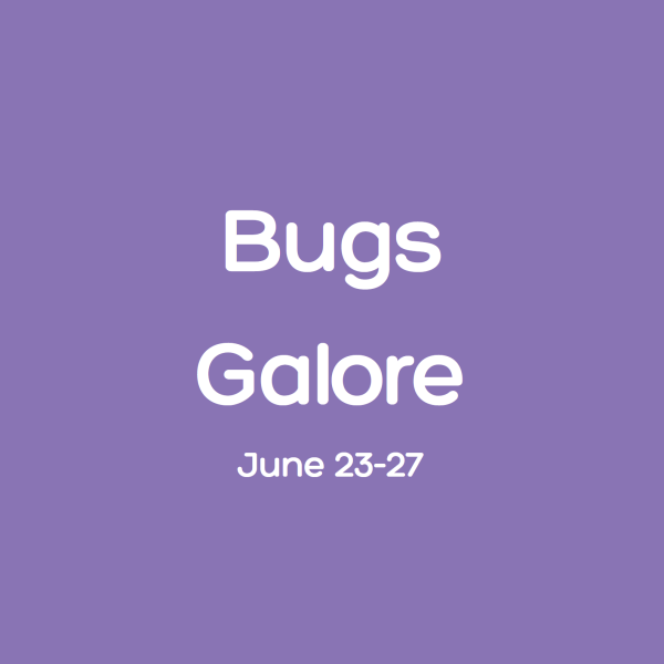 Bugs Galore