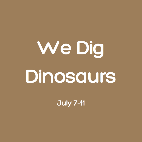 We Dig Dinosaurs