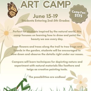 Nature Lovers Art Camp